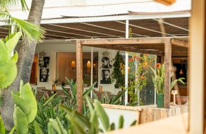 Davey Brown rinde tributo a la historia de Café Mambo con su nueva exposición en Ibiza